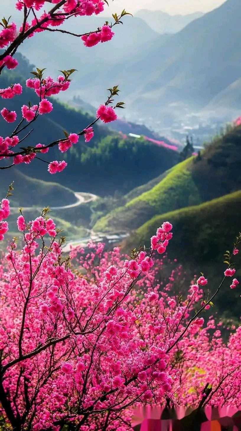 临江仙-鞭起寄桃芳～刘瑞宝（北京）（图16）