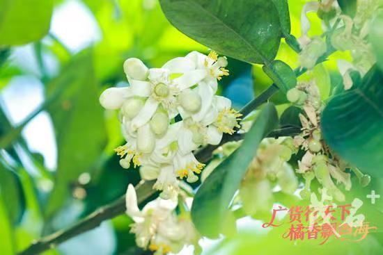 联机全球发布崔秉哲作品欣赏(图4)