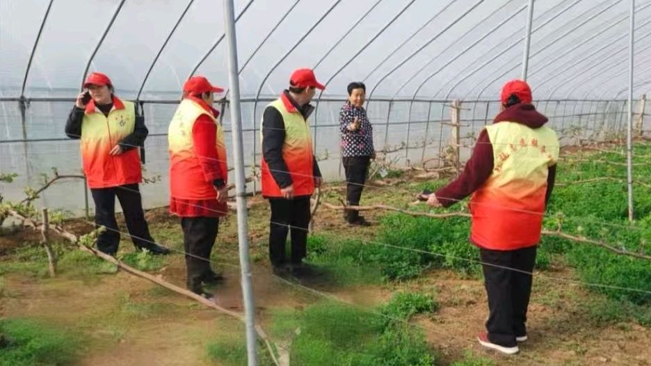 情系大棚暖农户 政策护航兴产业（图5）