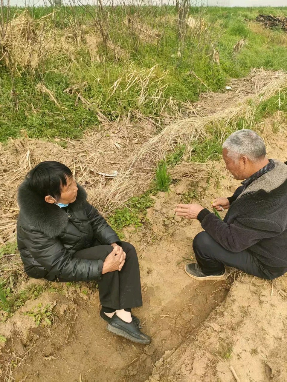 桑榆映初心 调解促和谐——舞钢市尚店镇桑榆红调解队筑牢基层治理平安防线（图3）