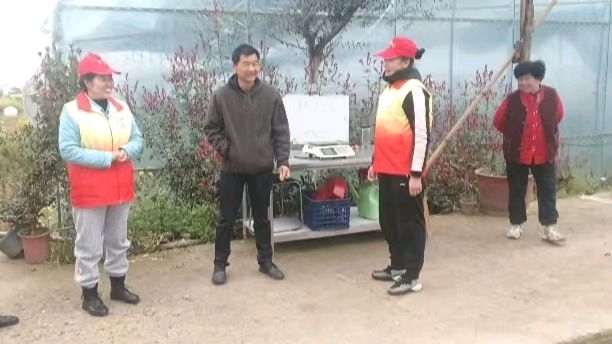春日“莓”好志愿行 田间调研助农兴（图4）
