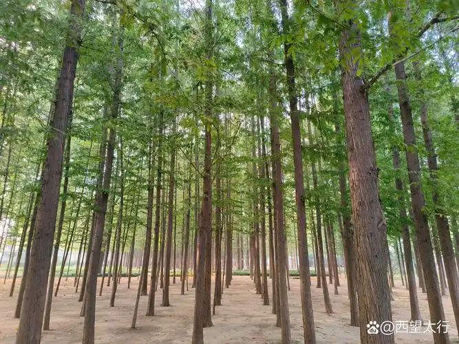 【燕赵文学】散文：并非秘笈的达活泉之秘（河北/刘孟领）（图9）