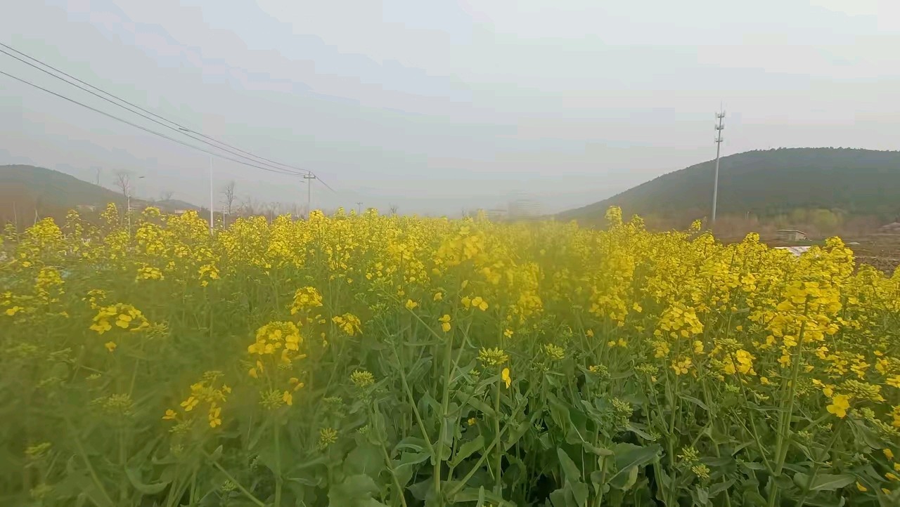 《涧石当代诗词原创当代古诗词当代诗赏析》作者：涧石 [中国现代诗歌文化传媒]（图9）
