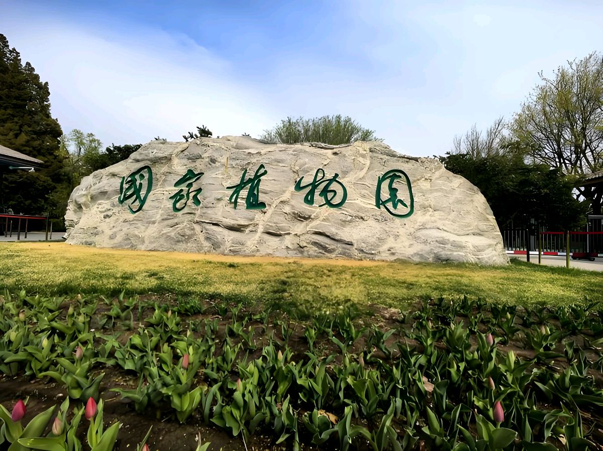 草原雄鹰诗社2026第8期同题作品展播《组诗：咏植物园》作者/草原雄鹰诗社诗人（图4）