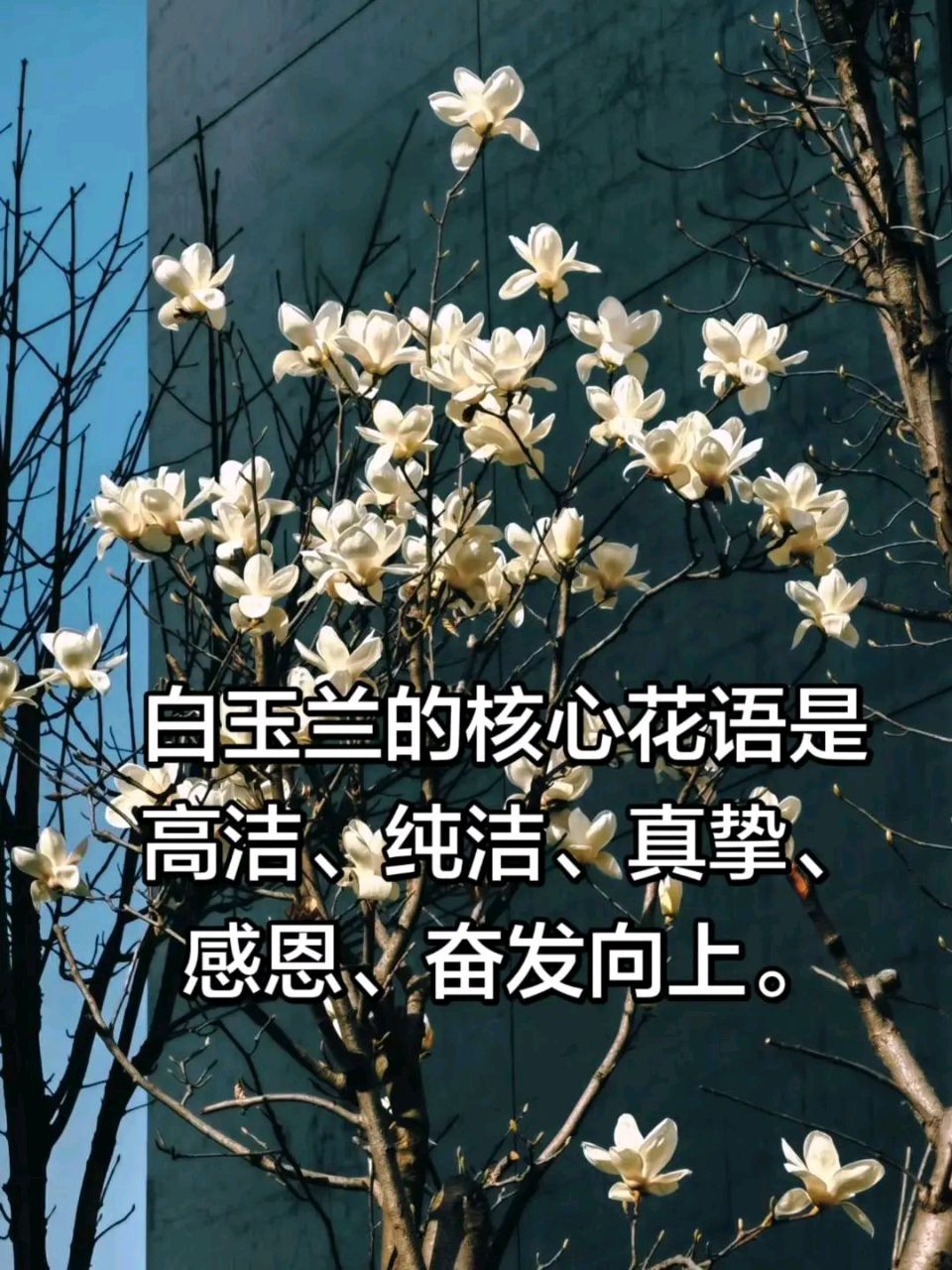 知名诗人周金山老师绝句与君共赏（图6）