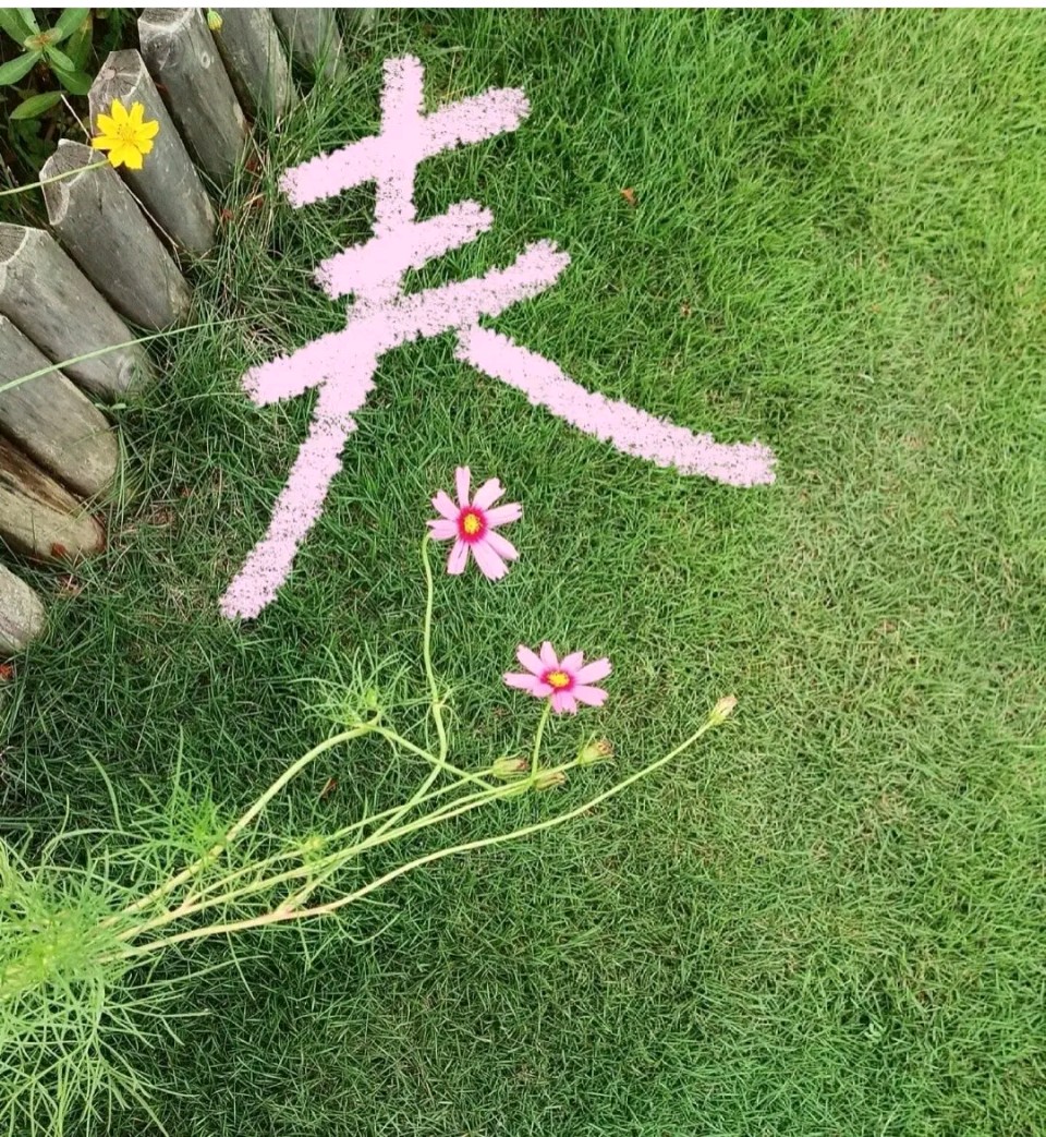 知名诗人周金山老师绝句与君共赏（图7）