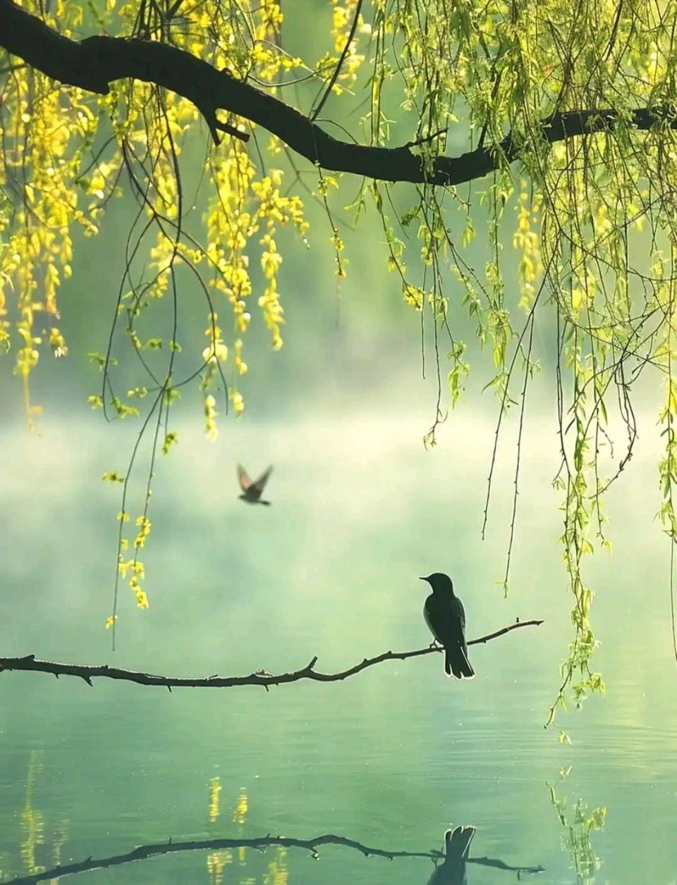 暮春叹 作者:陈怀秦（河南）（图3）