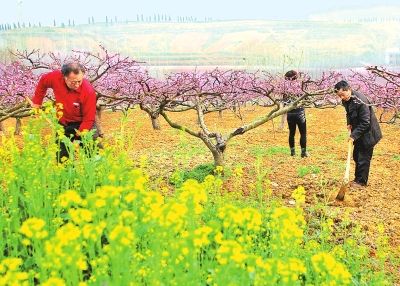 【荣耀中国】文学社*春韵徐细毛（江西南昌）（图4）