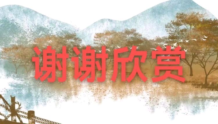 见白玉兰花落有吟（新韵） 作者:杨金彩（图3）