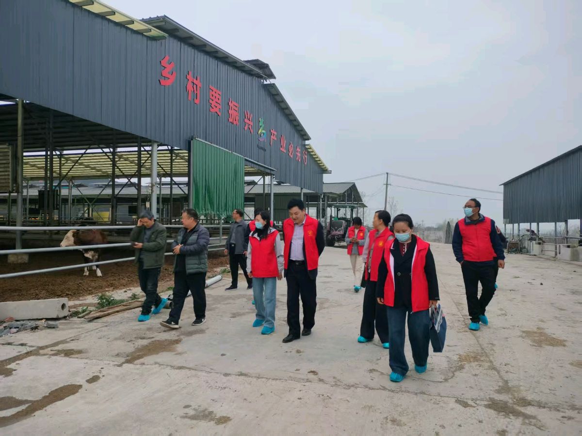 科技特派员下沉肉牛育肥一线 精准技术指导赋能乡村产业振兴（图2）