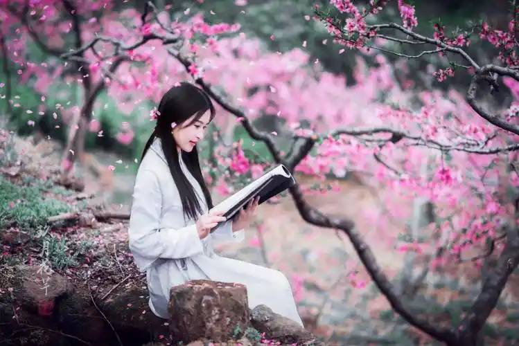 【新山东文学社】《桃花开了》作者/大浪淘沙 主播/鲁怡秀凤（图4）