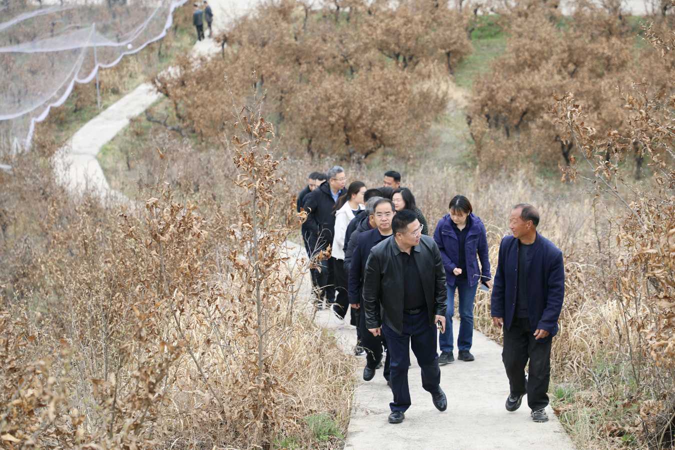 鲁山县：全国畜牧总站调研组对一化柞蚕遗传资源保护及品种审定进行考察（图3）