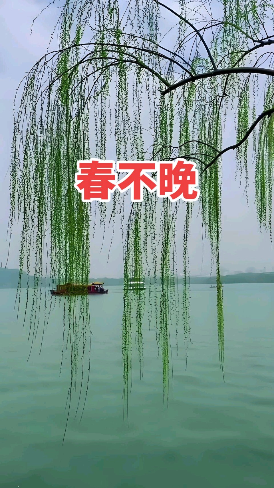 鹧鸪天-丙午仲春抒怀～高哲林（河北）（图11）
