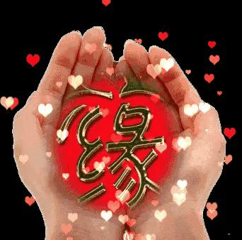 错过的缘分（小小说）作者/方立新……莲叶之珠文学社（图5）