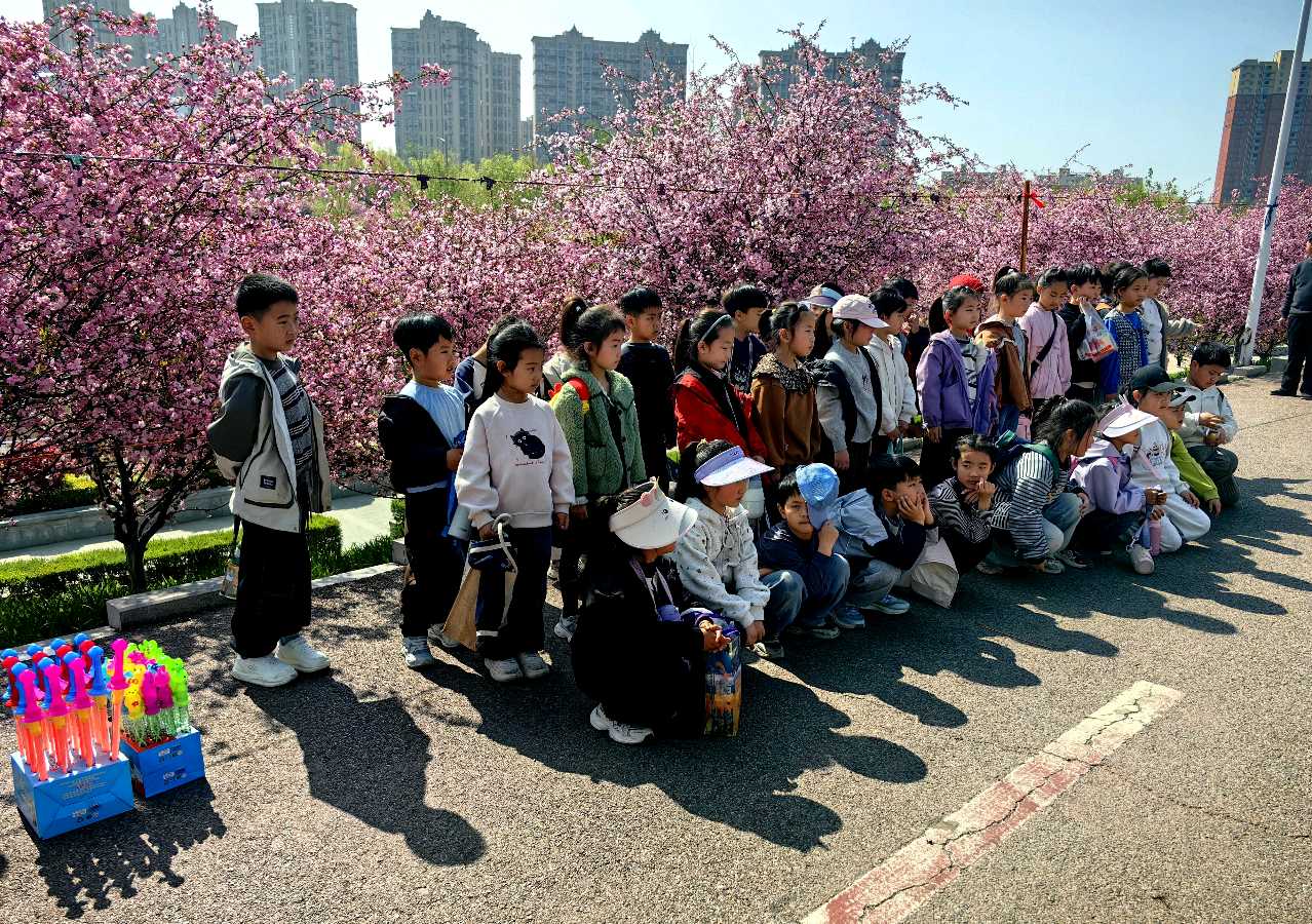 风拂海棠开 十里红妆入镜来（图9）