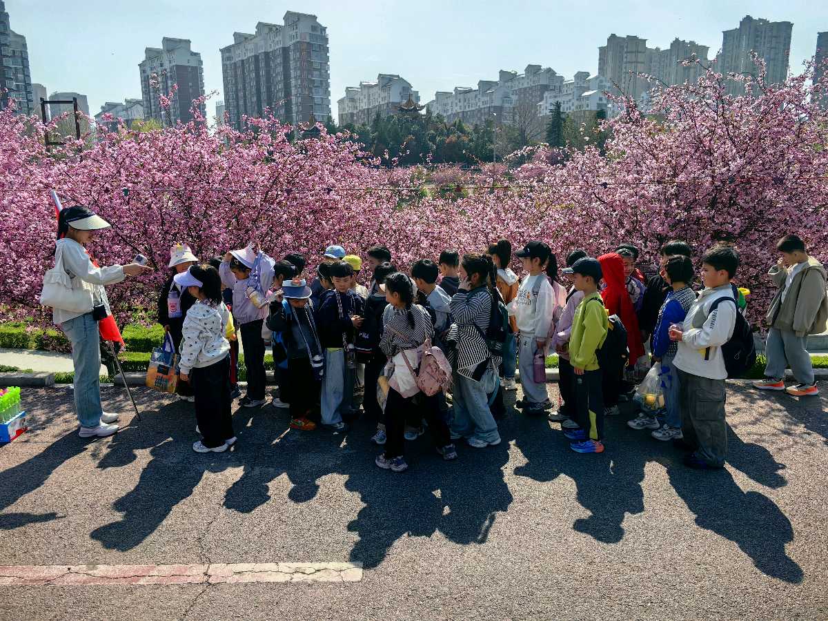 风拂海棠开 十里红妆入镜来（图7）