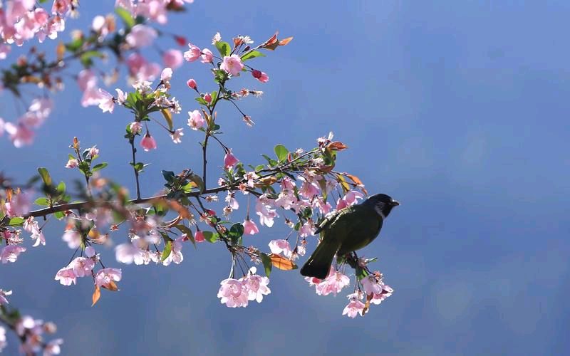 田国华老师新诗欣赏（图2）