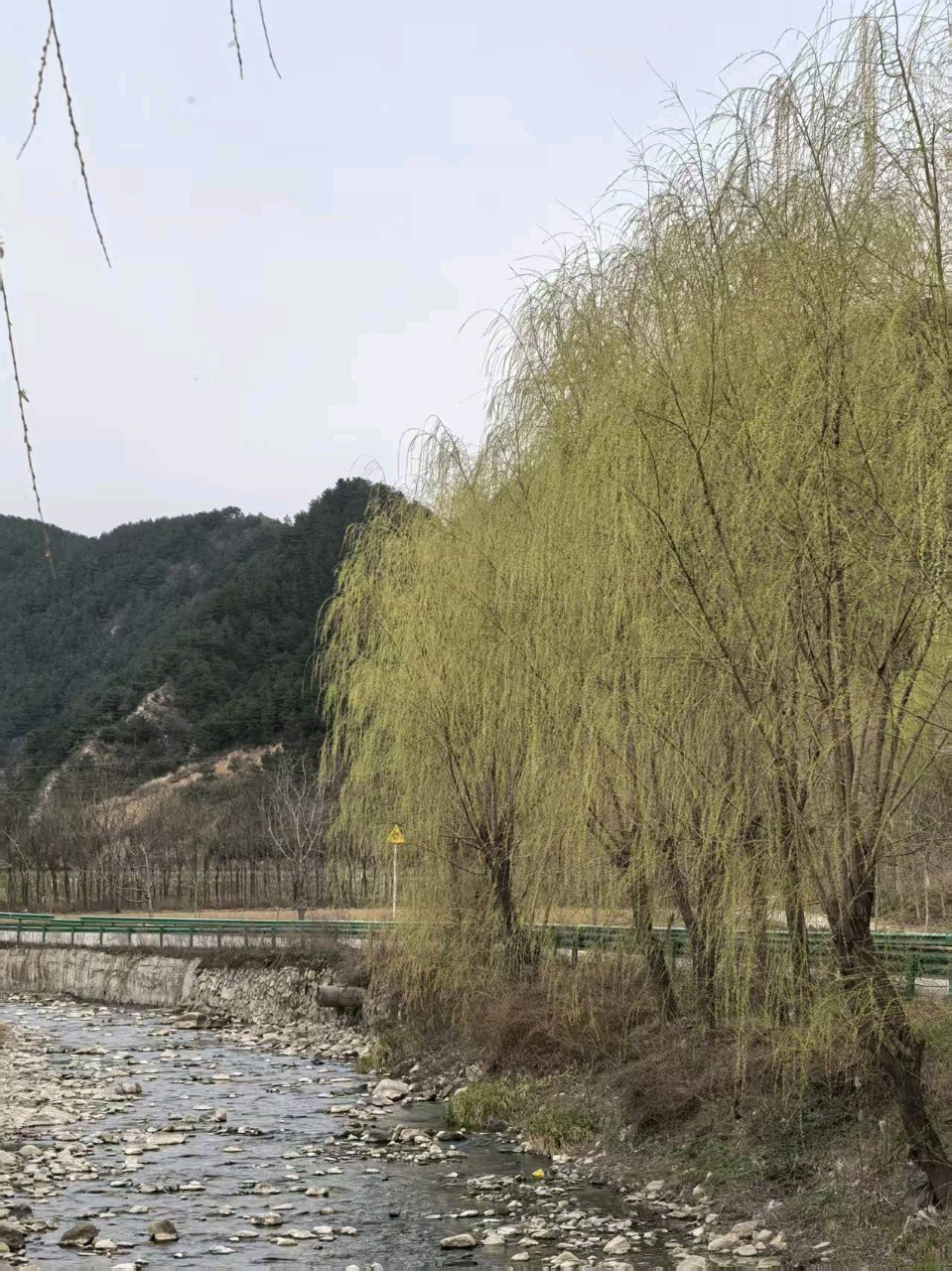 徐生斌//故乡的春
