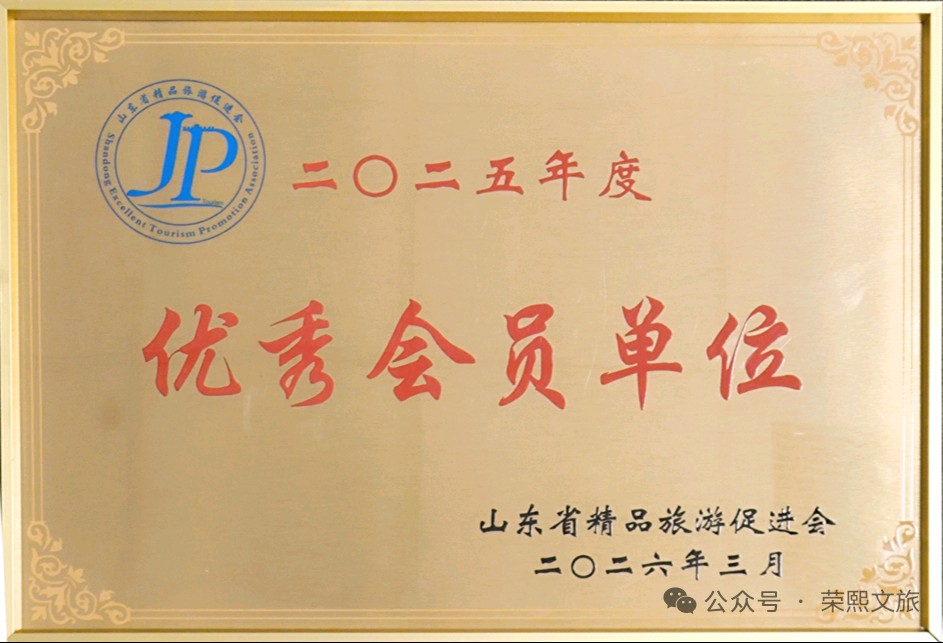 喜报！山东荣熙文旅荣获省旅促会双项荣誉， 踔厉奋发共筑文旅新篇（图5）