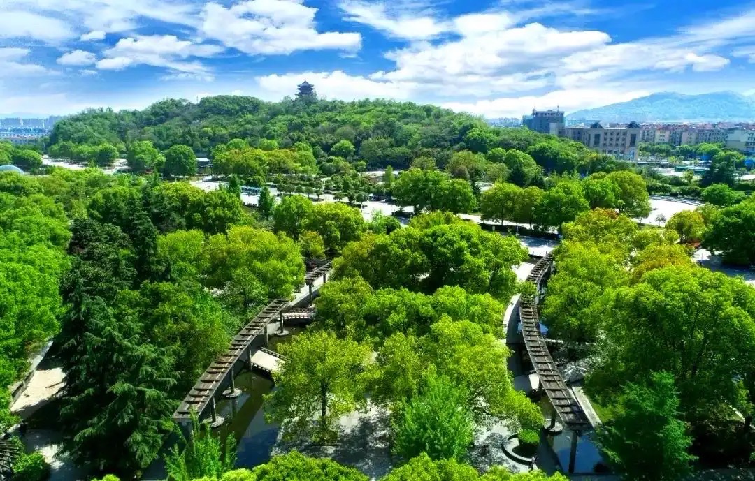 【新诗大观】局势||文/岳国栋（图3）