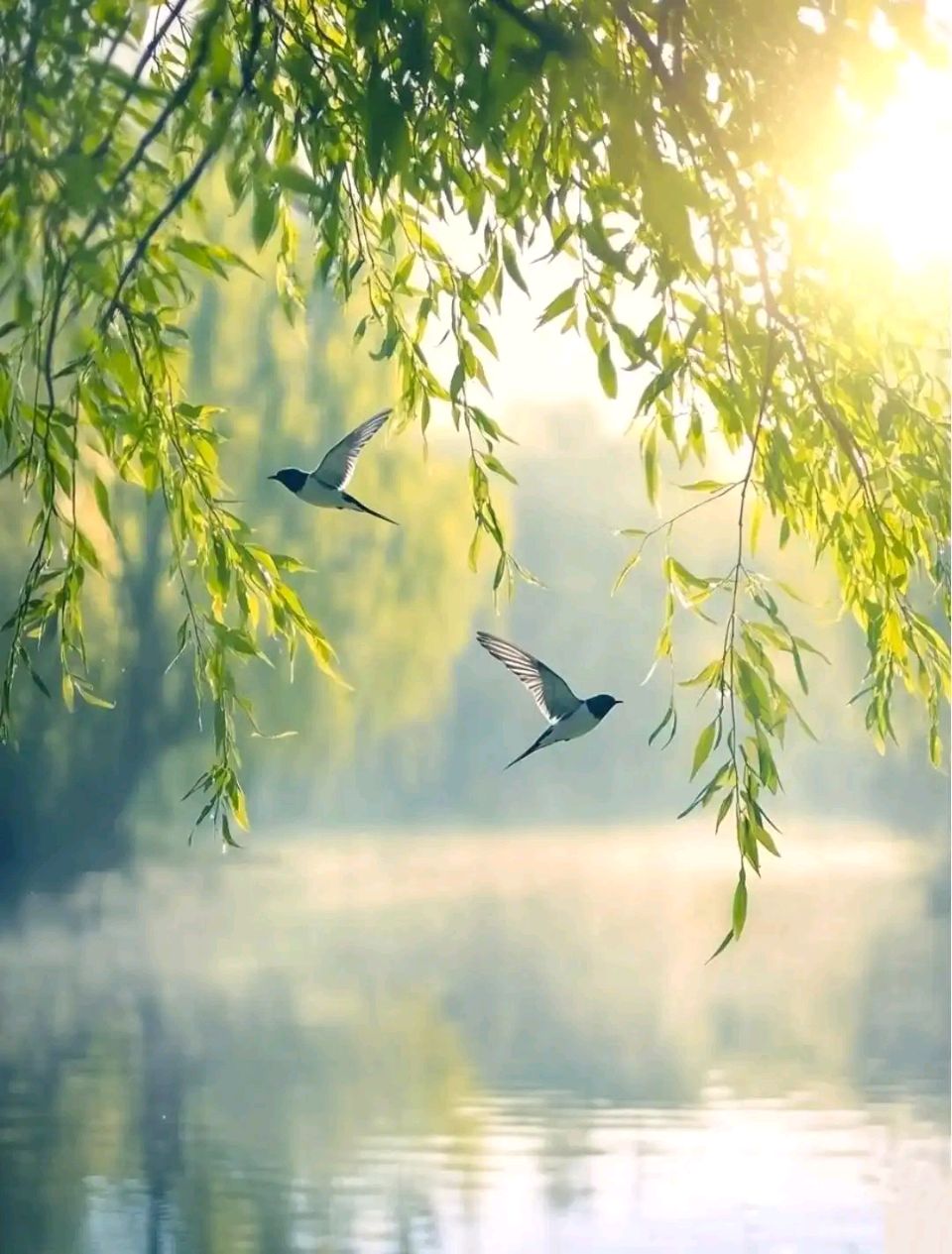 望海潮·春 作者:聂桂生（图2）