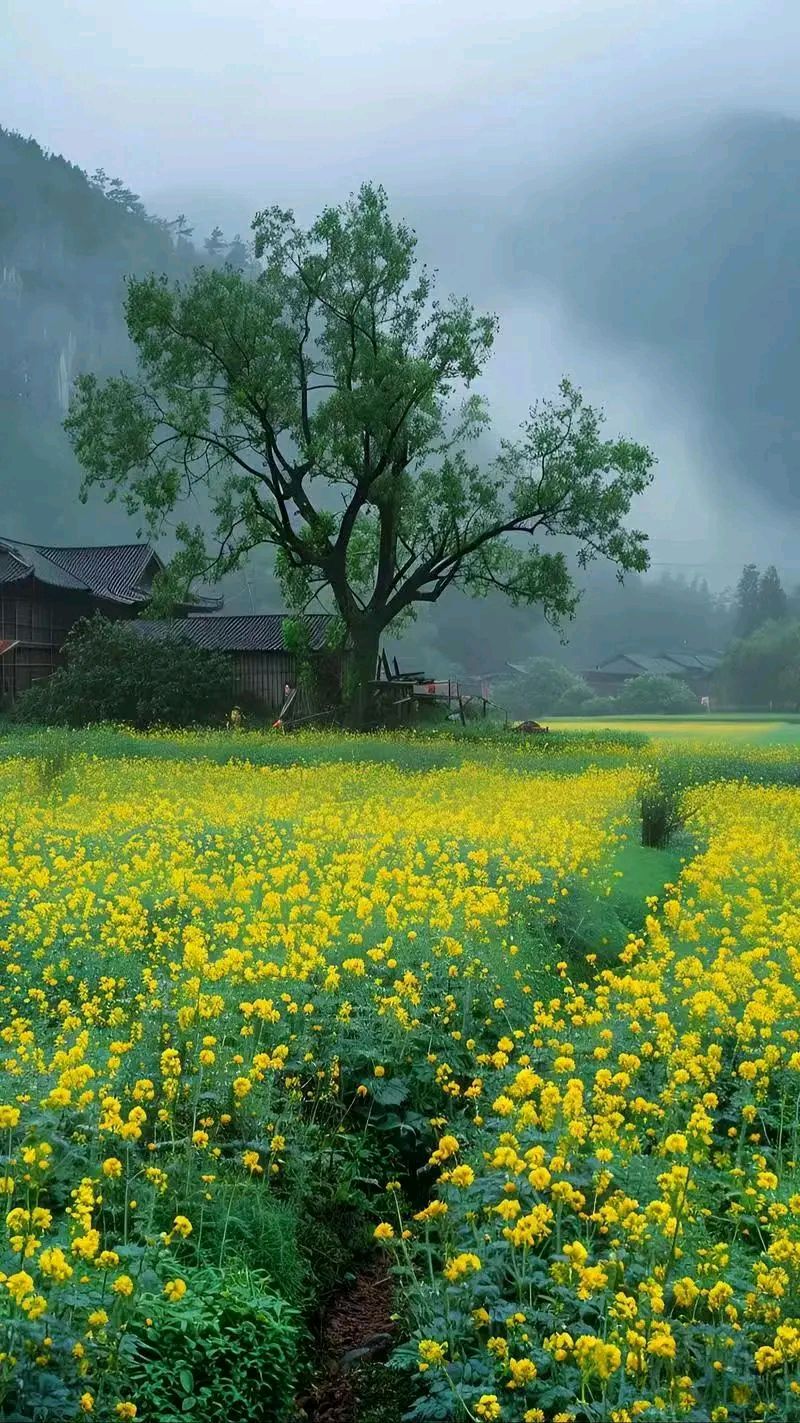 蝶恋花·春分 作者:钱长居（图2）