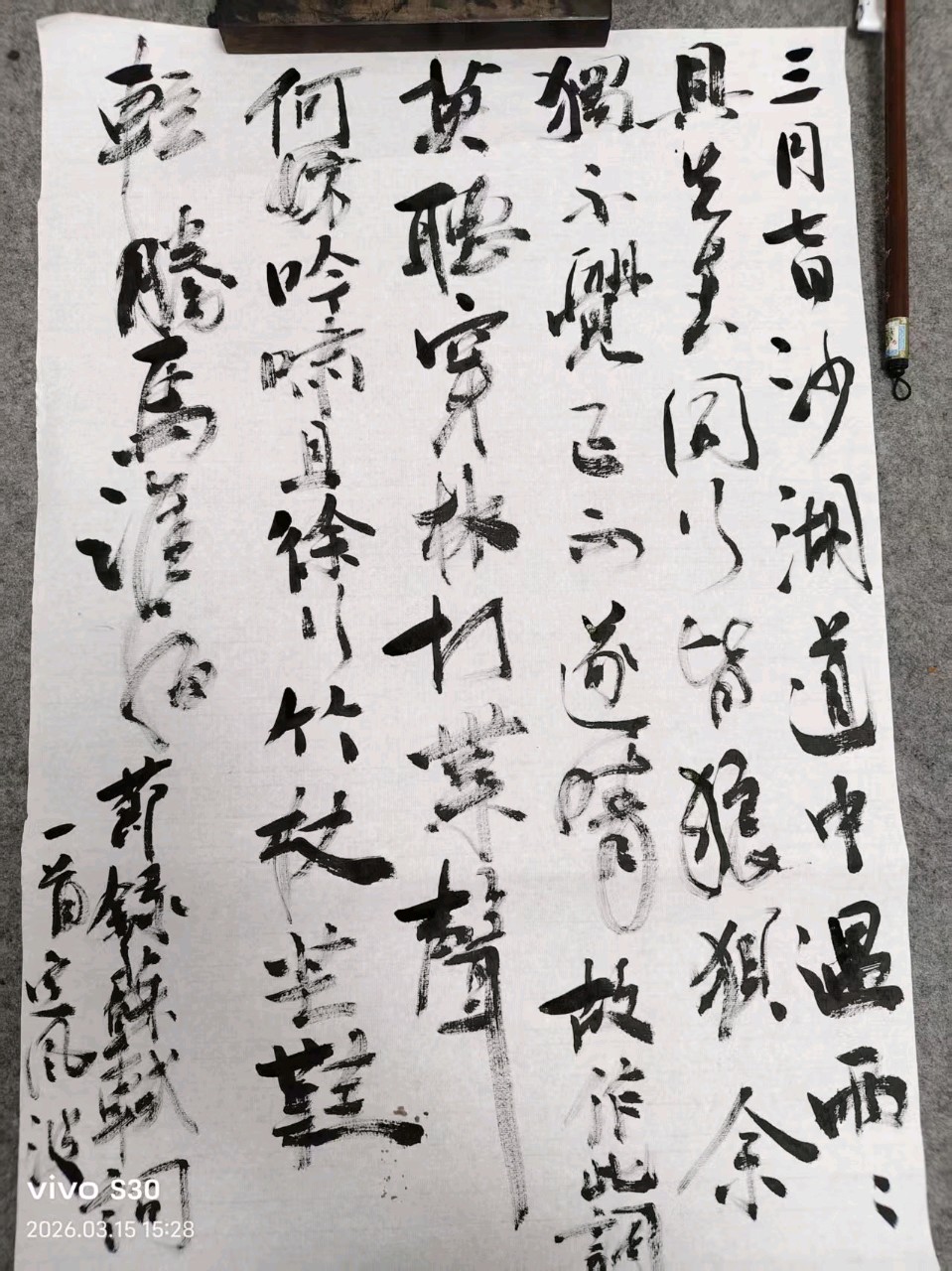 中国鲁迅杯全国首届华语文艺精英大赛：管树立入围作品展（图5）