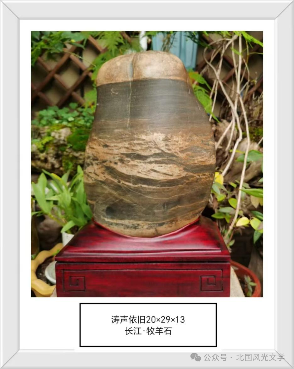 张卫国“奇石诗韵”作品十二篇(图12)