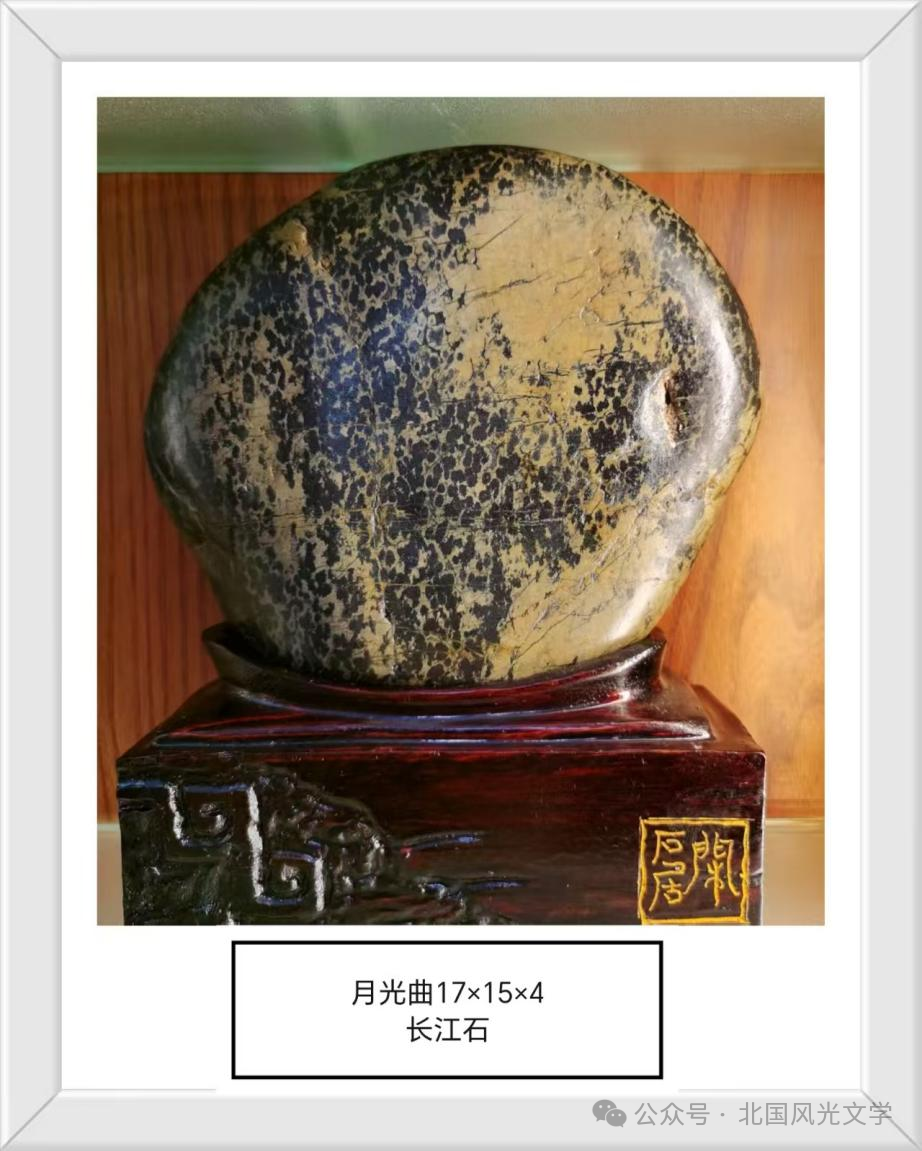 张卫国“奇石诗韵”作品十二篇(图4)