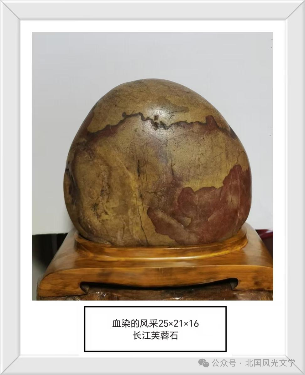 张卫国“奇石诗韵”作品十二篇(图7)