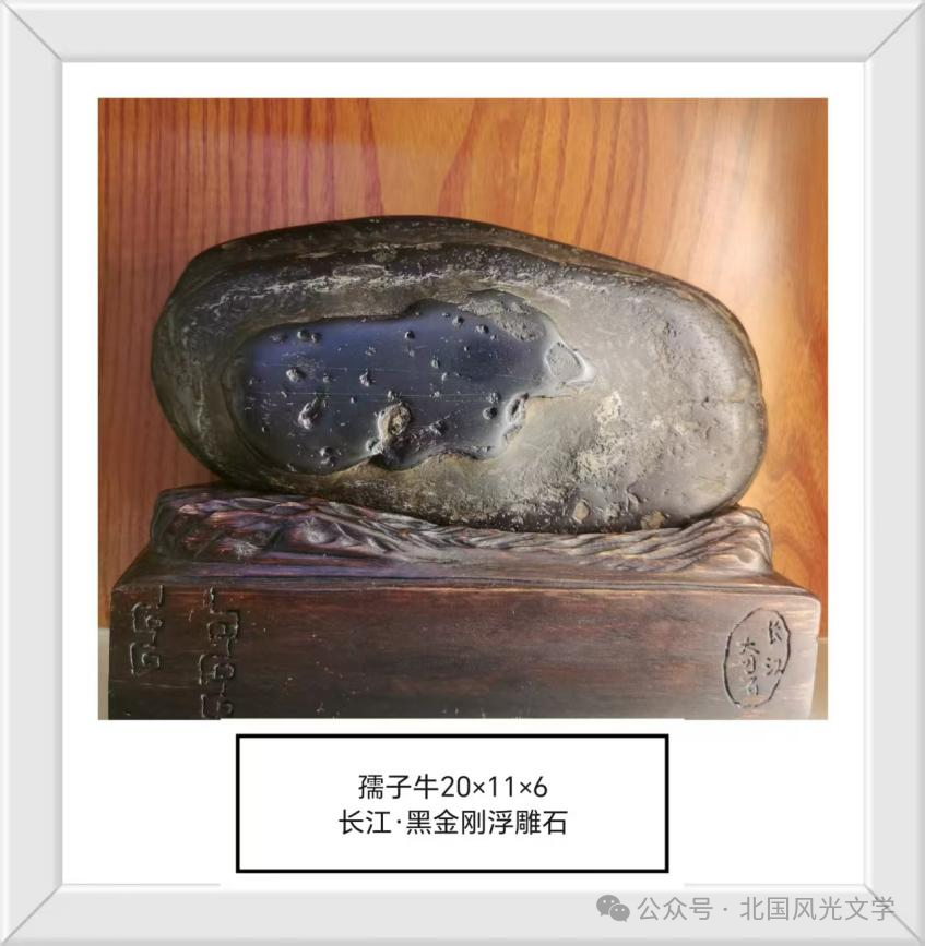 张卫国“奇石诗韵”作品十二篇