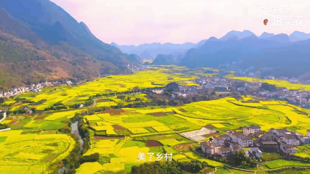 国风总社-251‖季春诗词精选 北京头条(图3)