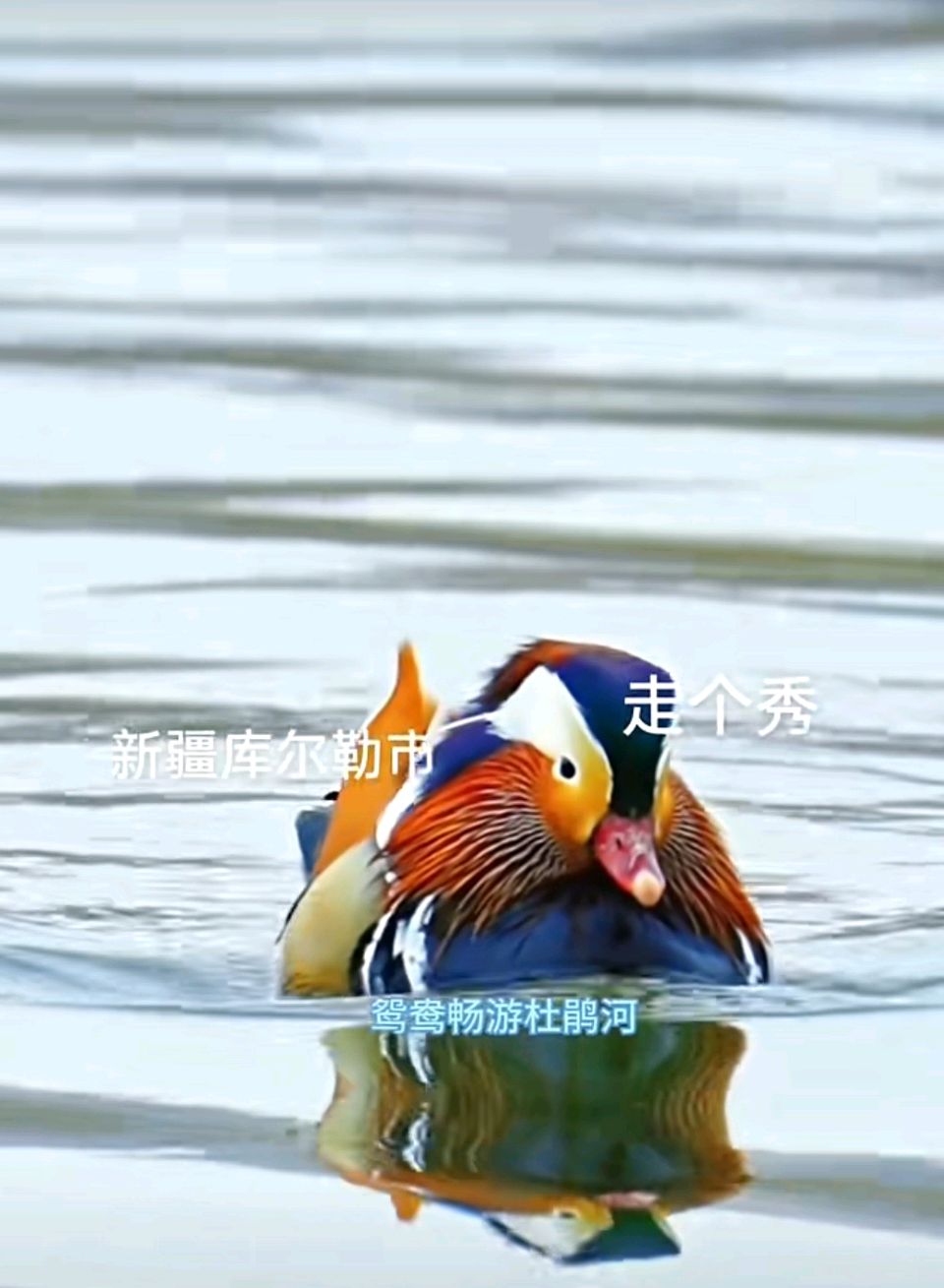 【豆蔻诗社】七言诗（古风）春雨作者/梅楠梓（图4）