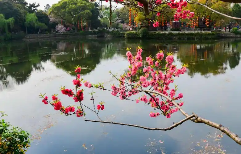 春梦（外一首） 作者:田兴才（图2）