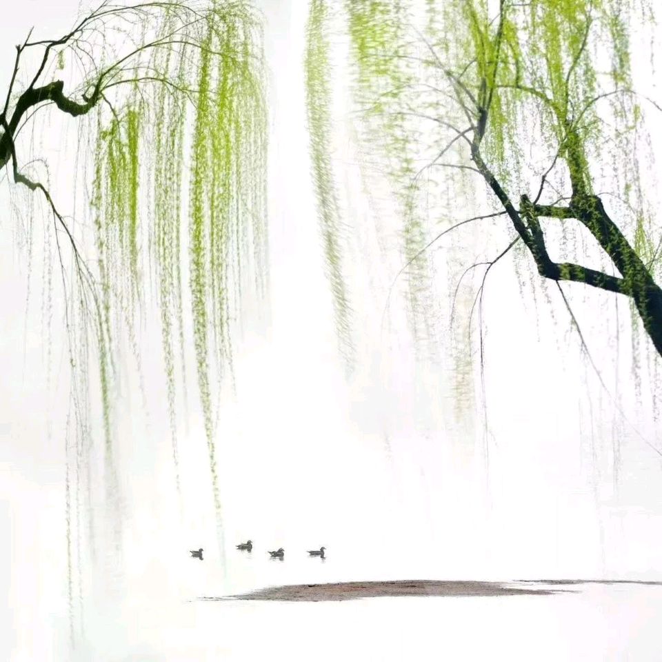 春归故里 作者:金国旗（图3）