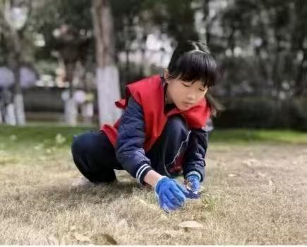 我的阅读故事：与传统文化相伴成长 作者 王子月（图6）
