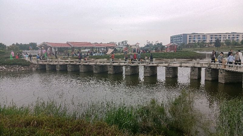 七律-菜堂湿地春日即景～李宣财（福建）（图20）