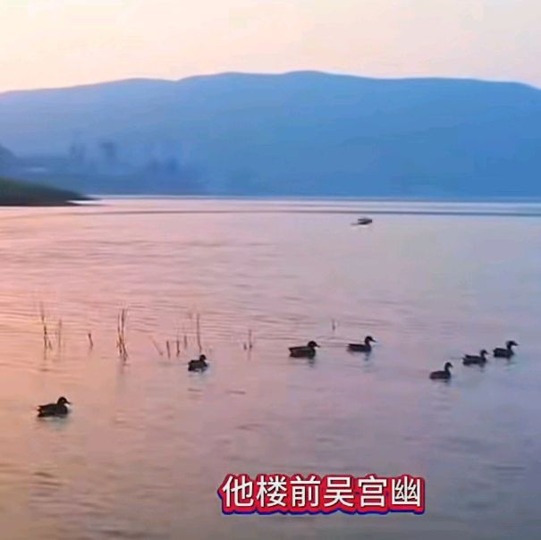 赞东方卫视《大江南》主题曲～李宣财（福建）（图35）