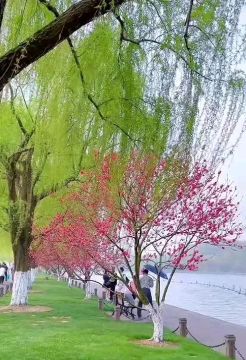 【上海头条】古韵飘香第305期：看图写诗（图8）