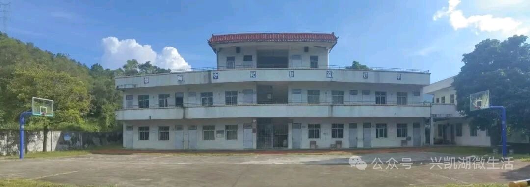 【人物专访】一枝一叶总关情——专访扎根乡村教育二十四载的惠东县九龙峰长坑小学校长李先娣/王 夫(图3)