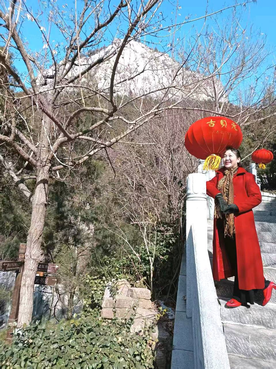 七绝·双龙同春（ 中华新韵 ）藏头诗 作者/周凰（图4）