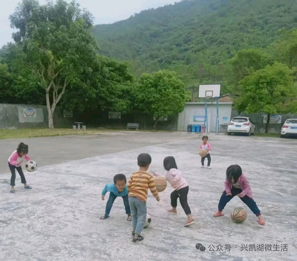 【人物专访】一枝一叶总关情——专访扎根乡村教育二十四载的惠东县九龙峰长坑小学校长李先娣/王 夫(图5)