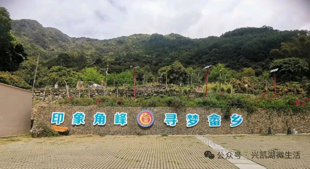 【人物专访】一枝一叶总关情——专访扎根乡村教育二十四载的惠东县九龙峰长坑小学校长李先娣/王 夫(图9)