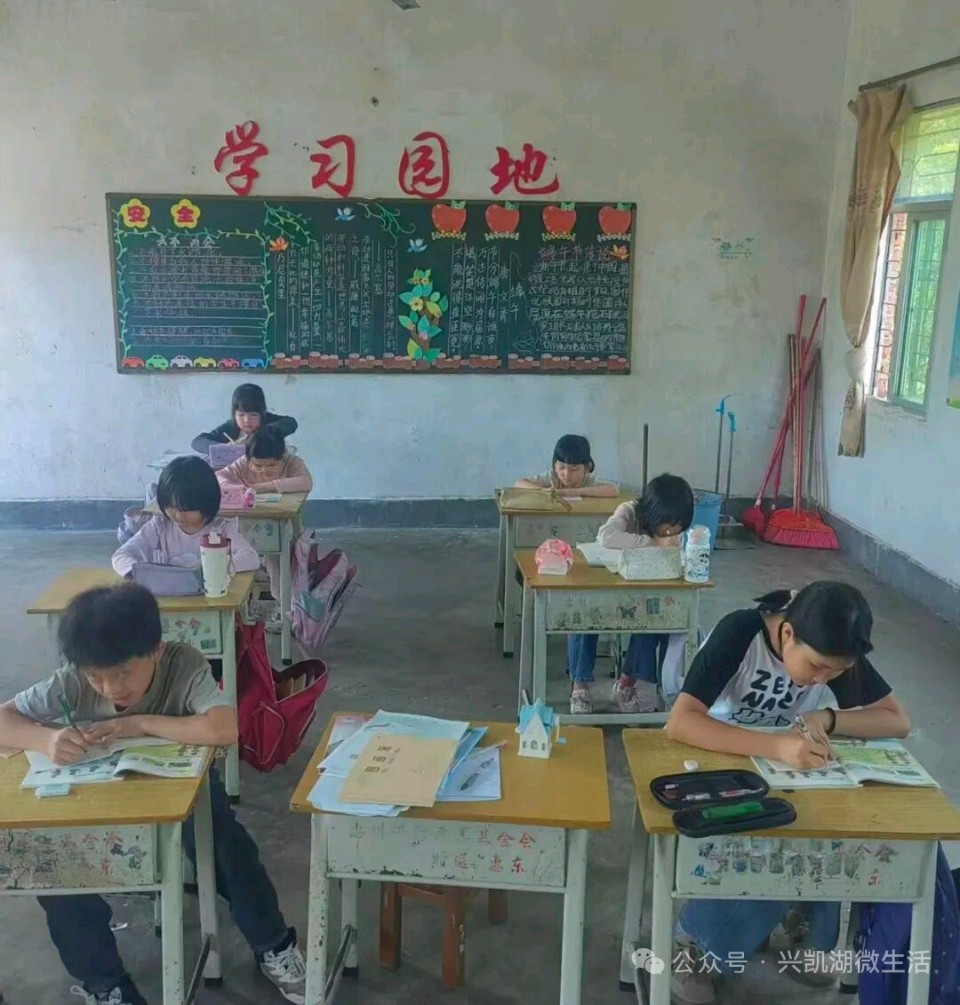 【人物专访】一枝一叶总关情——专访扎根乡村教育二十四载的惠东县九龙峰长坑小学校长李先娣/王 夫(图12)