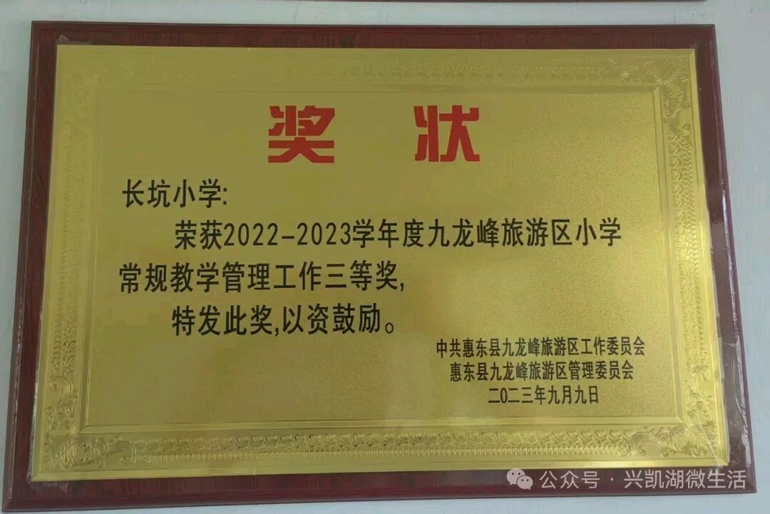 【人物专访】一枝一叶总关情——专访扎根乡村教育二十四载的惠东县九龙峰长坑小学校长李先娣/王 夫(图16)