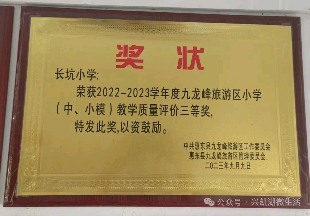 【人物专访】一枝一叶总关情——专访扎根乡村教育二十四载的惠东县九龙峰长坑小学校长李先娣/王 夫(图14)