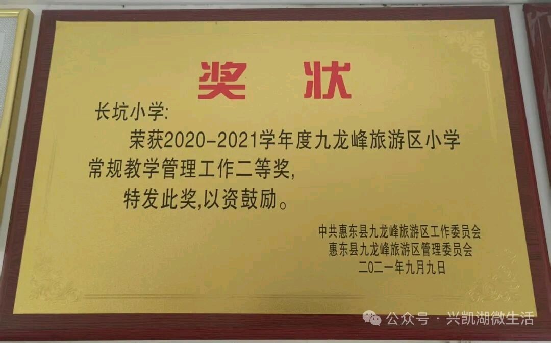 【人物专访】一枝一叶总关情——专访扎根乡村教育二十四载的惠东县九龙峰长坑小学校长李先娣/王 夫(图15)
