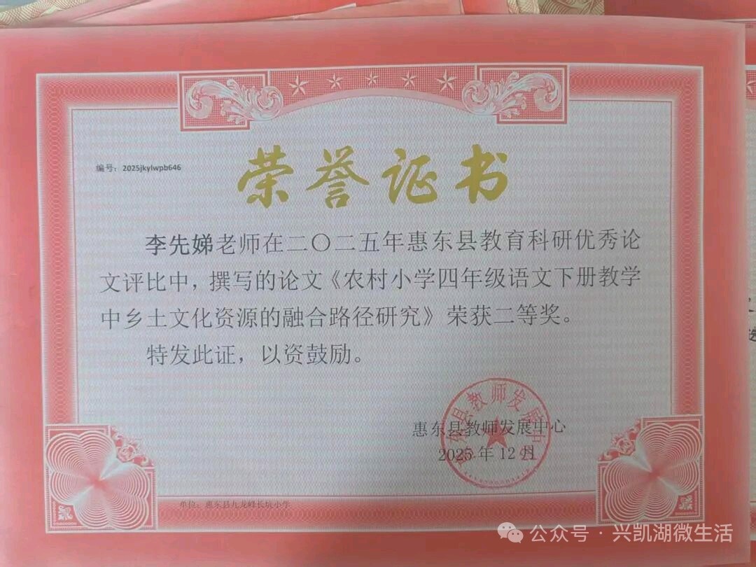 【人物专访】一枝一叶总关情——专访扎根乡村教育二十四载的惠东县九龙峰长坑小学校长李先娣/王 夫(图17)