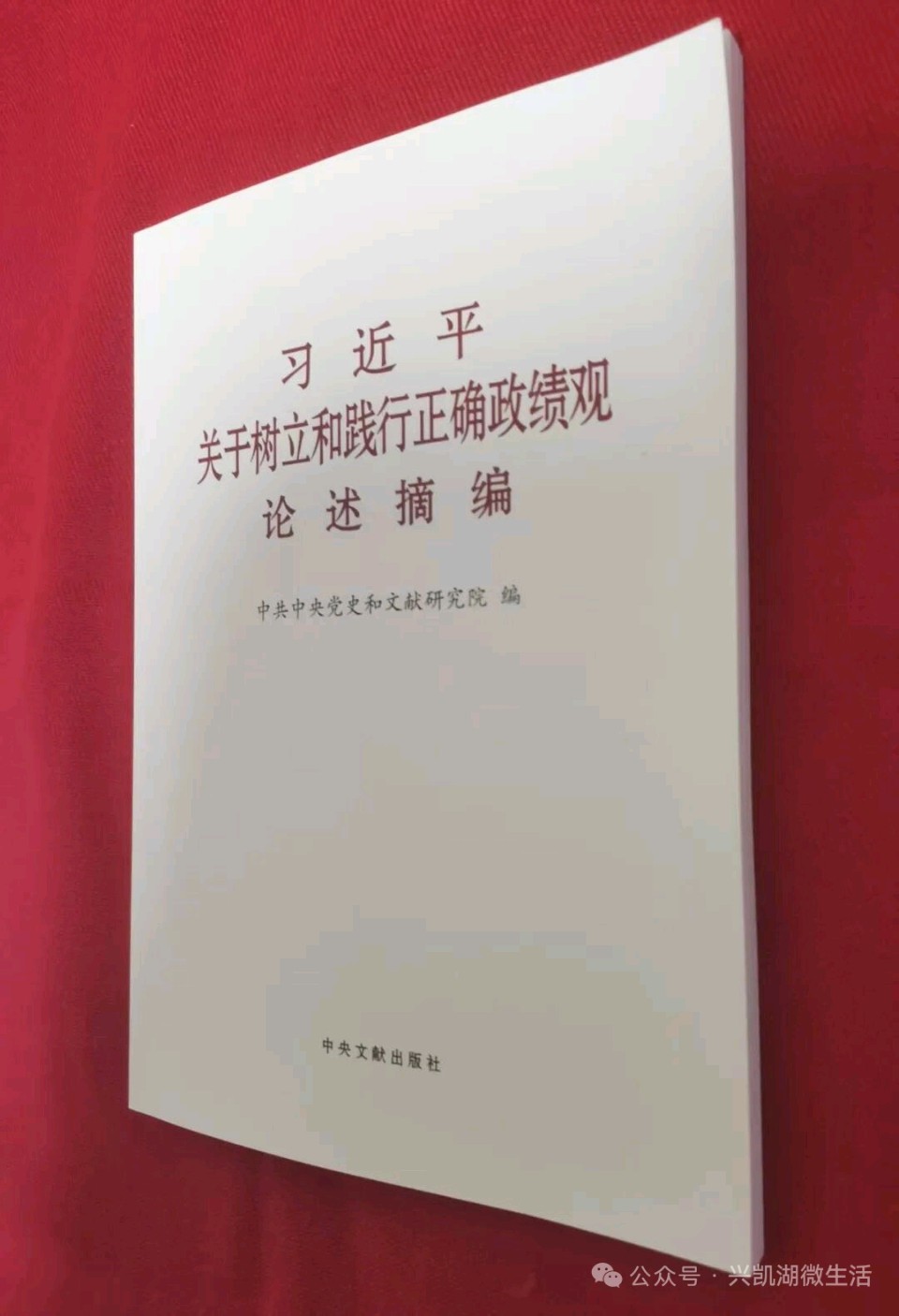 【人物专访】一枝一叶总关情——专访扎根乡村教育二十四载的惠东县九龙峰长坑小学校长李先娣/王 夫(图20)