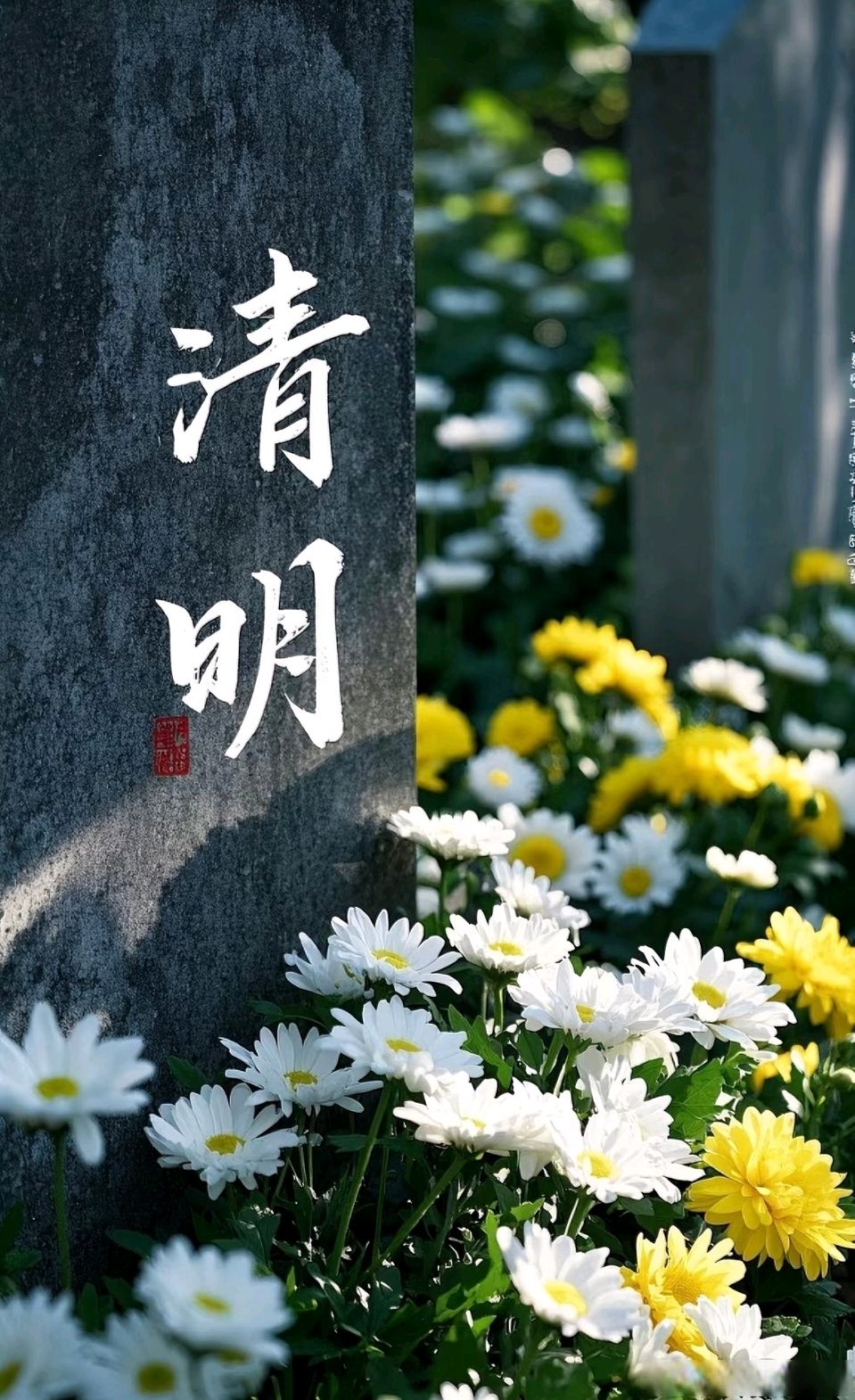 聆听 ‖ 尚竟利朗诵《清明时节》作者/余炳全（图5）